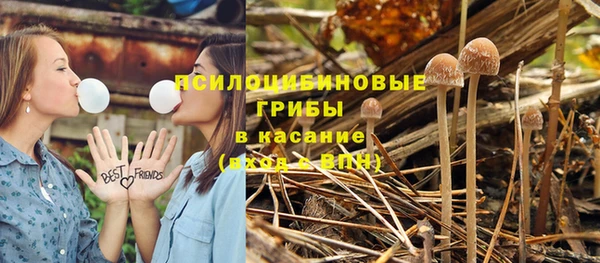 хмурый Горно-Алтайск