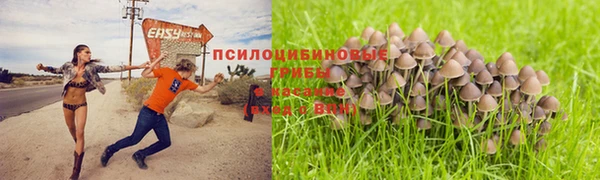 хмурый Горно-Алтайск