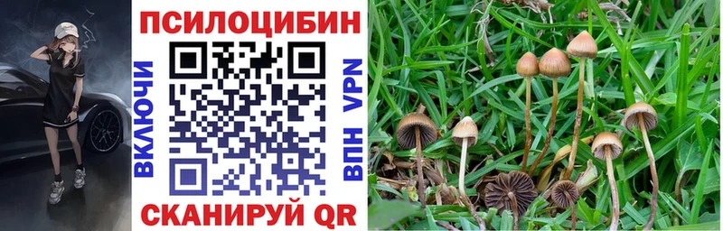 Купить закладки  Удомля  Псилоцибиновые грибы мухоморы 